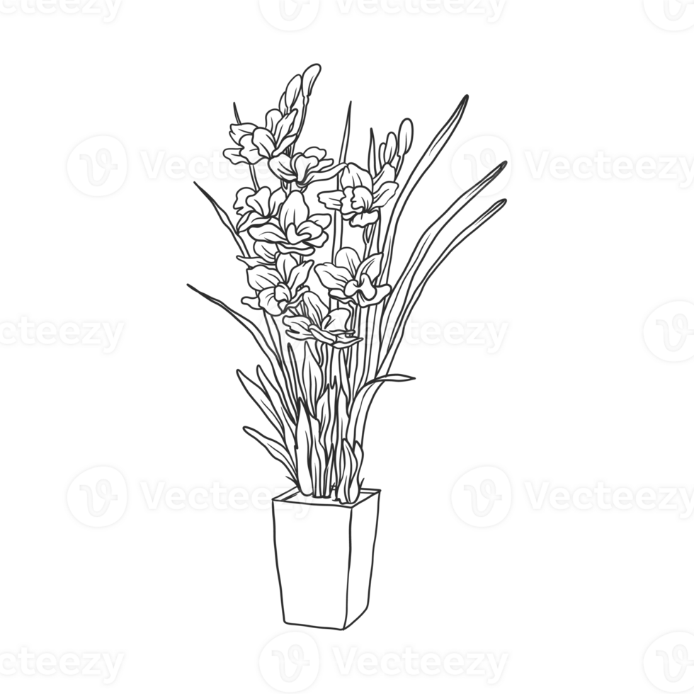 House Plant Illustration 11645713 PNG house-plant-illustration-11645713-png