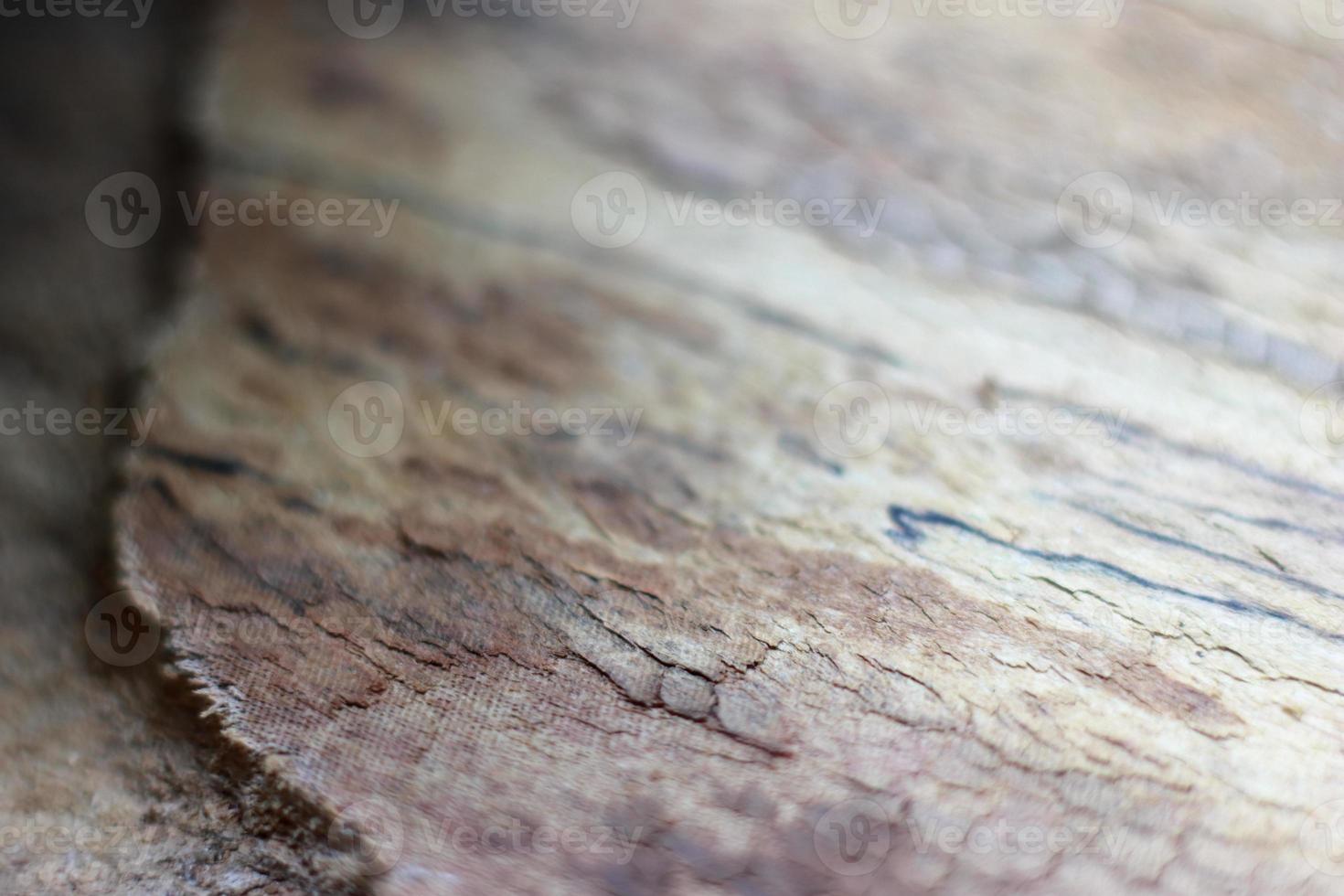 Close up old wood background texture photo