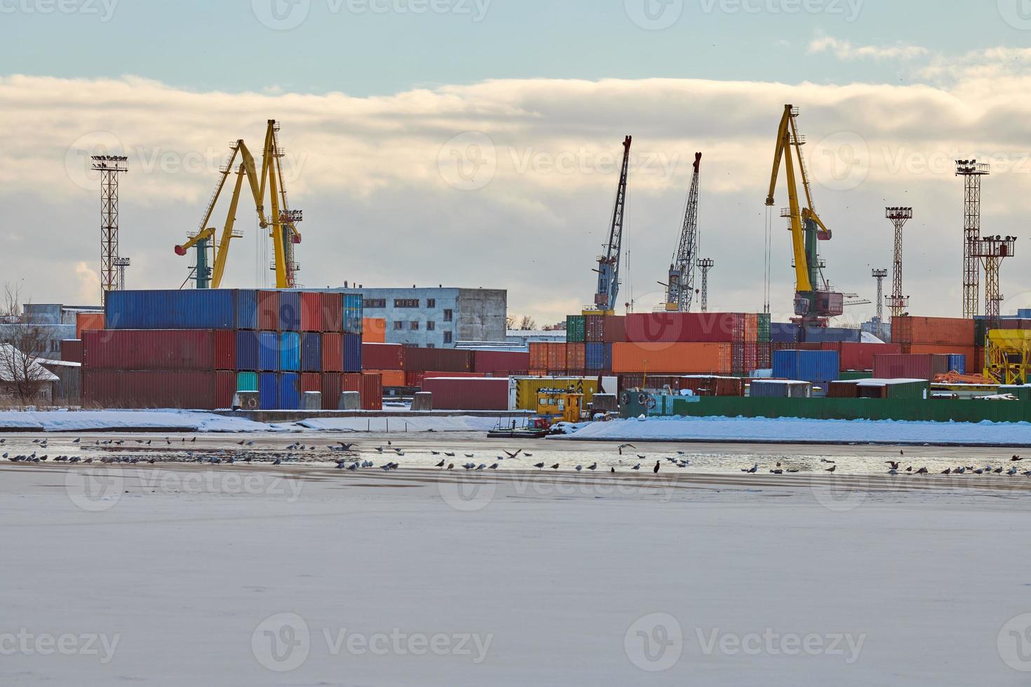 Harbor cranes, container ship terminal, cargo container yard photo