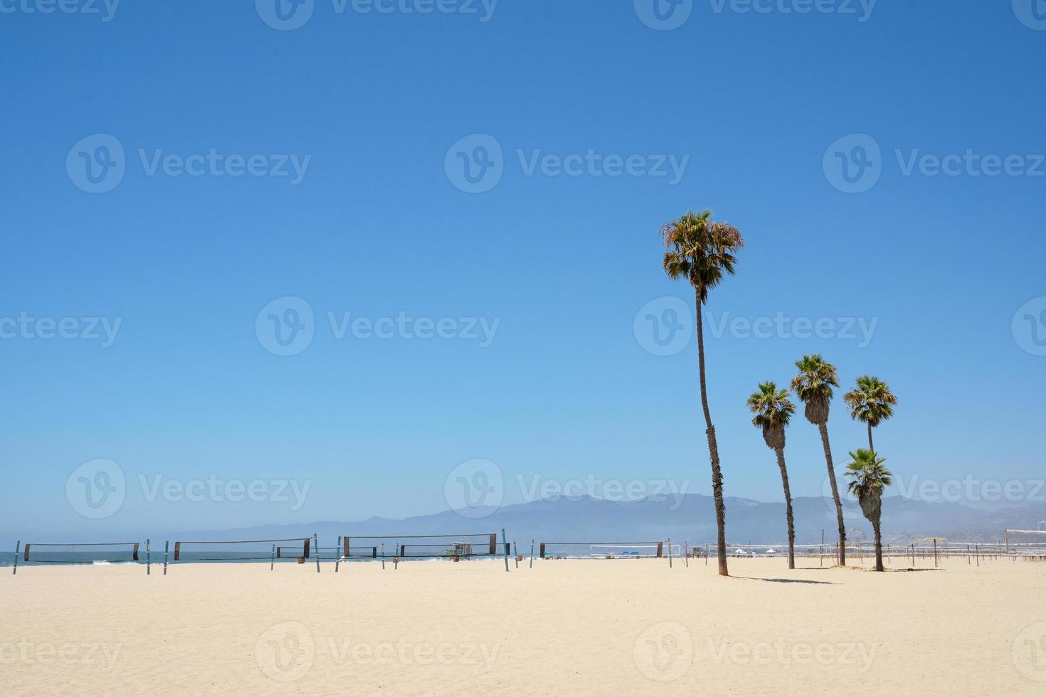 Palm trees and volleyball nets on Venice beach Los Angeles California photo