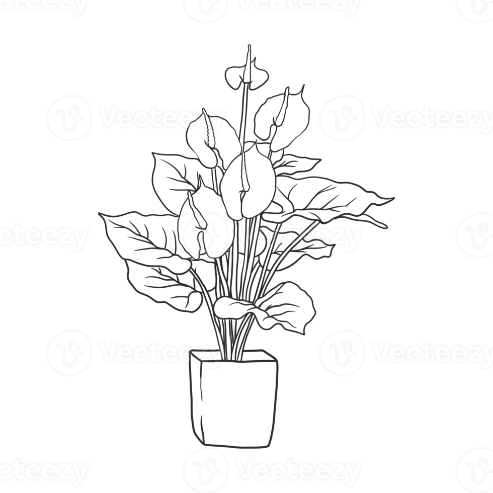 House Plant Illustration 11646095 PNG house-plant-illustration-11646095-png