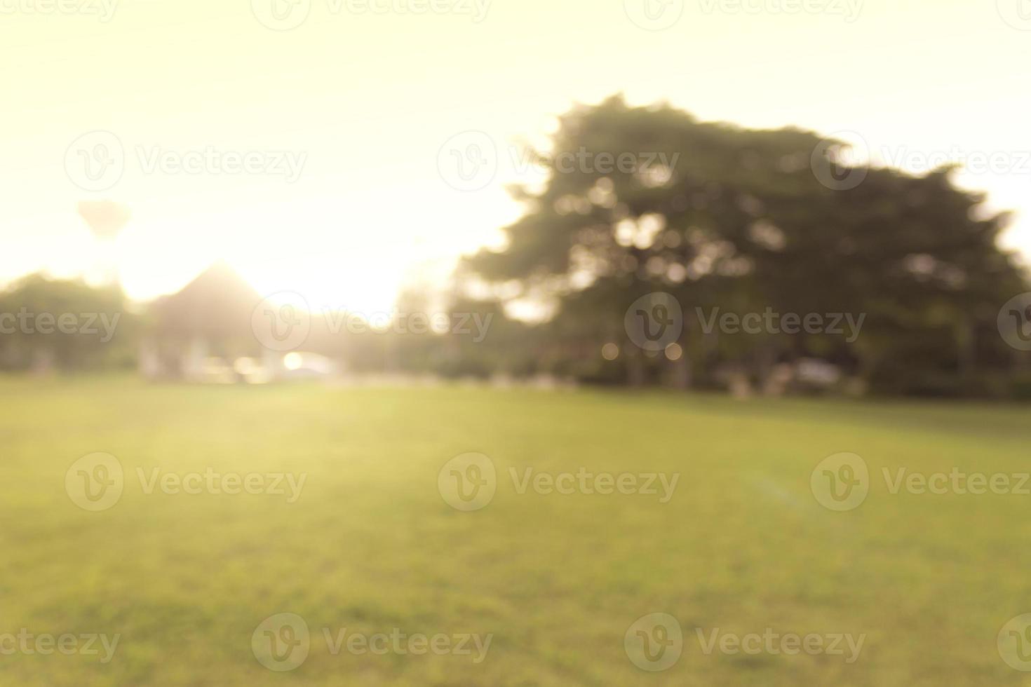 public park blurry background photo