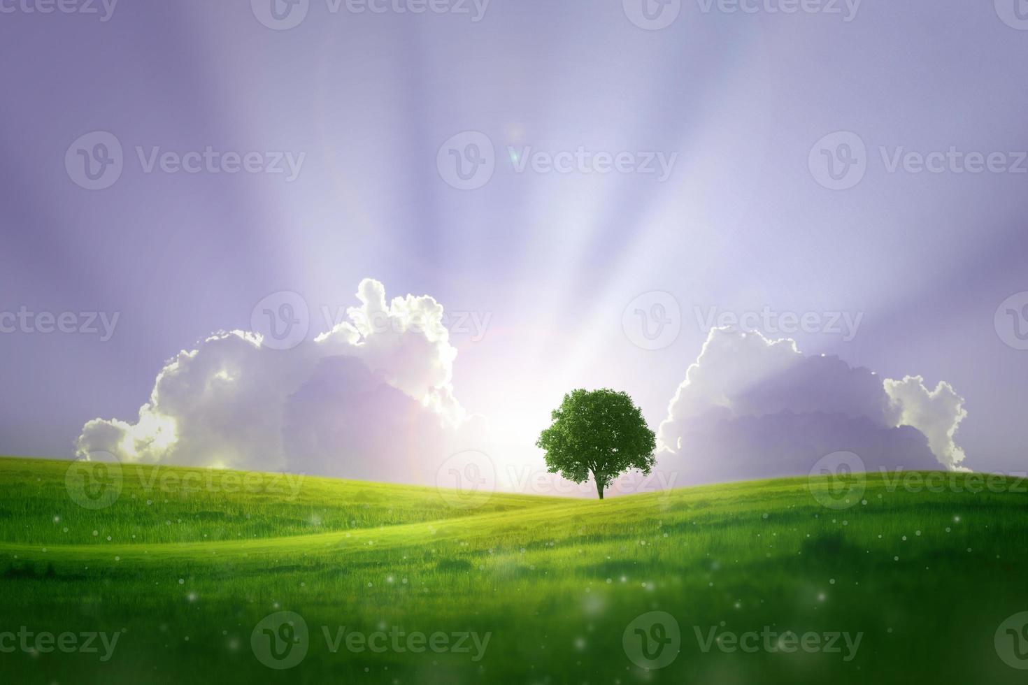 alone on green hill and blue sky nature background photo