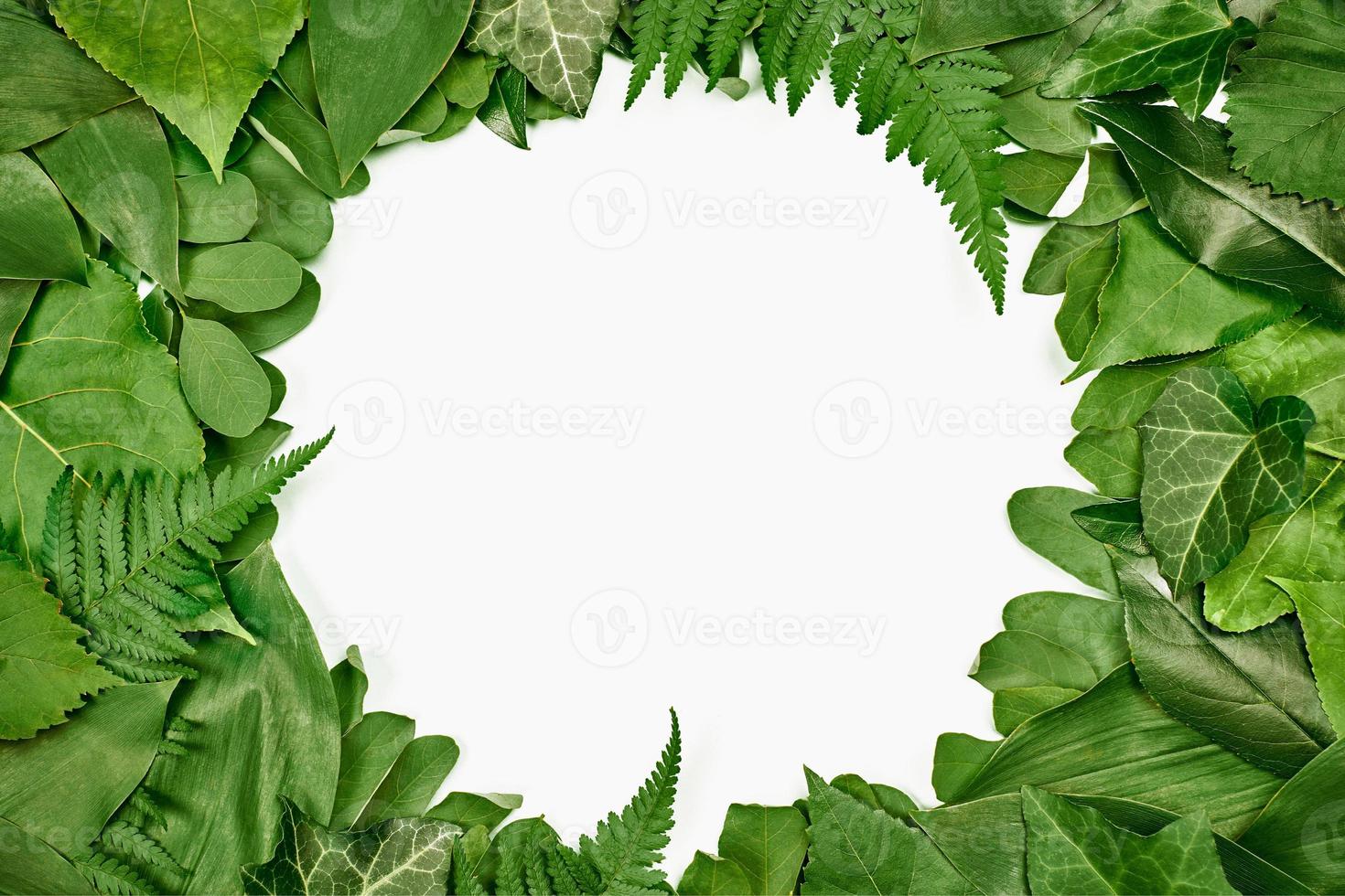 Green leaves circle frame with white empty copy space in center, flat lay top view photo