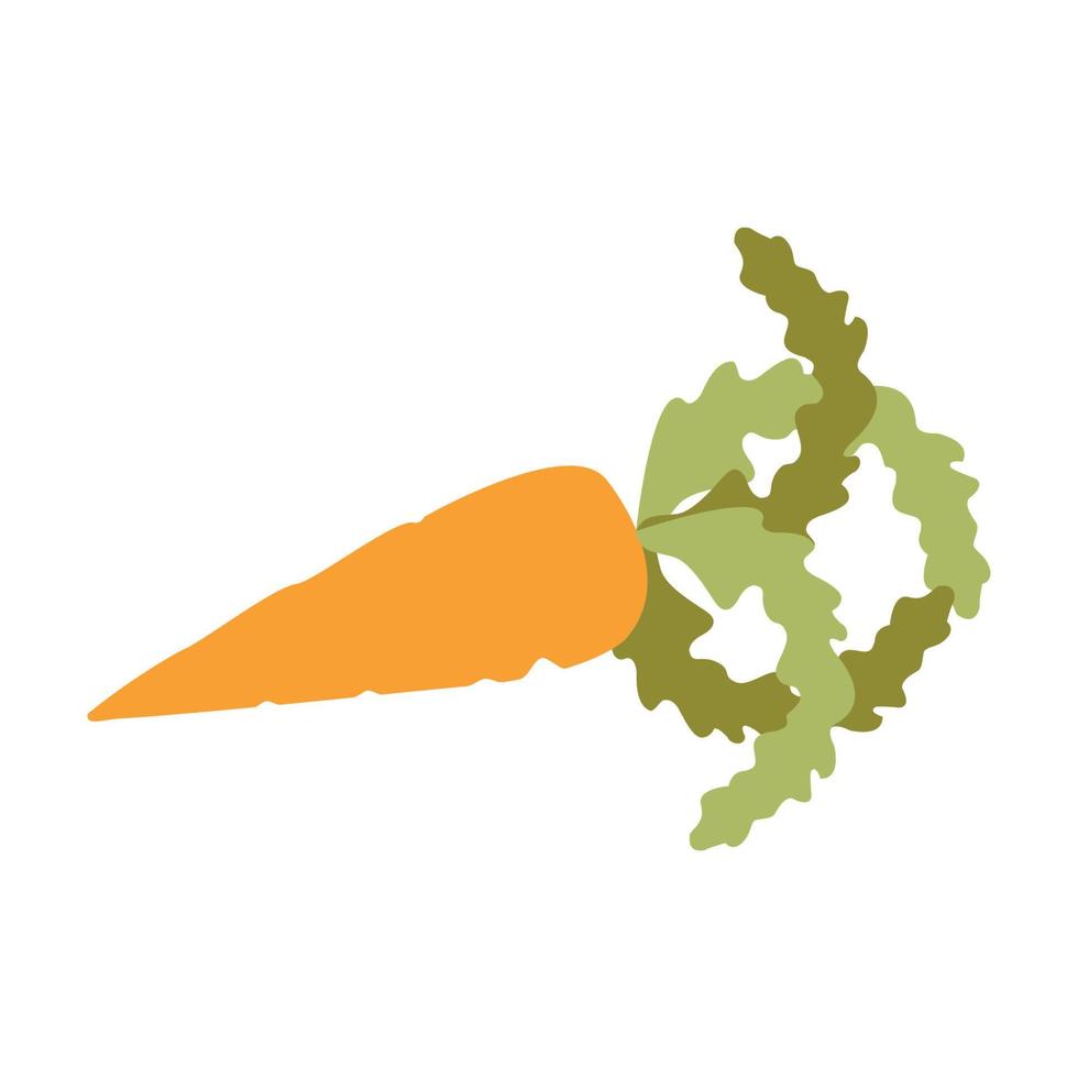 Vector image of a carrot in a flat style, for design purposes.