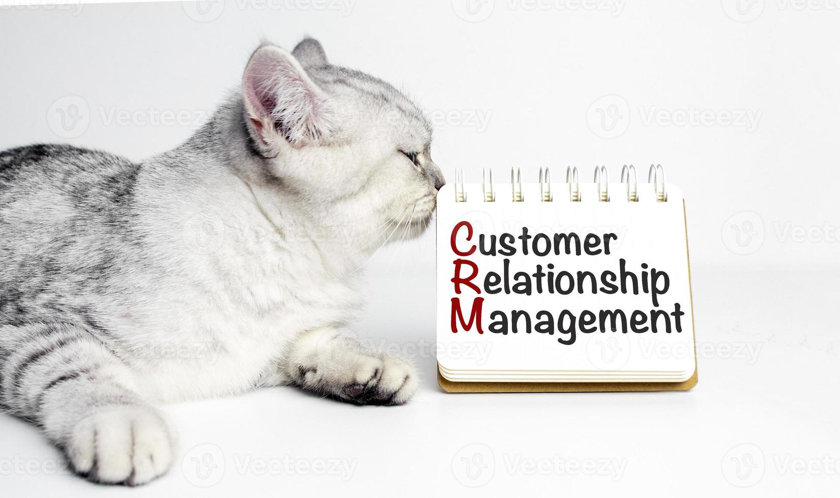 notepad with the text CRM Customer Relationship Management and grey cat photo