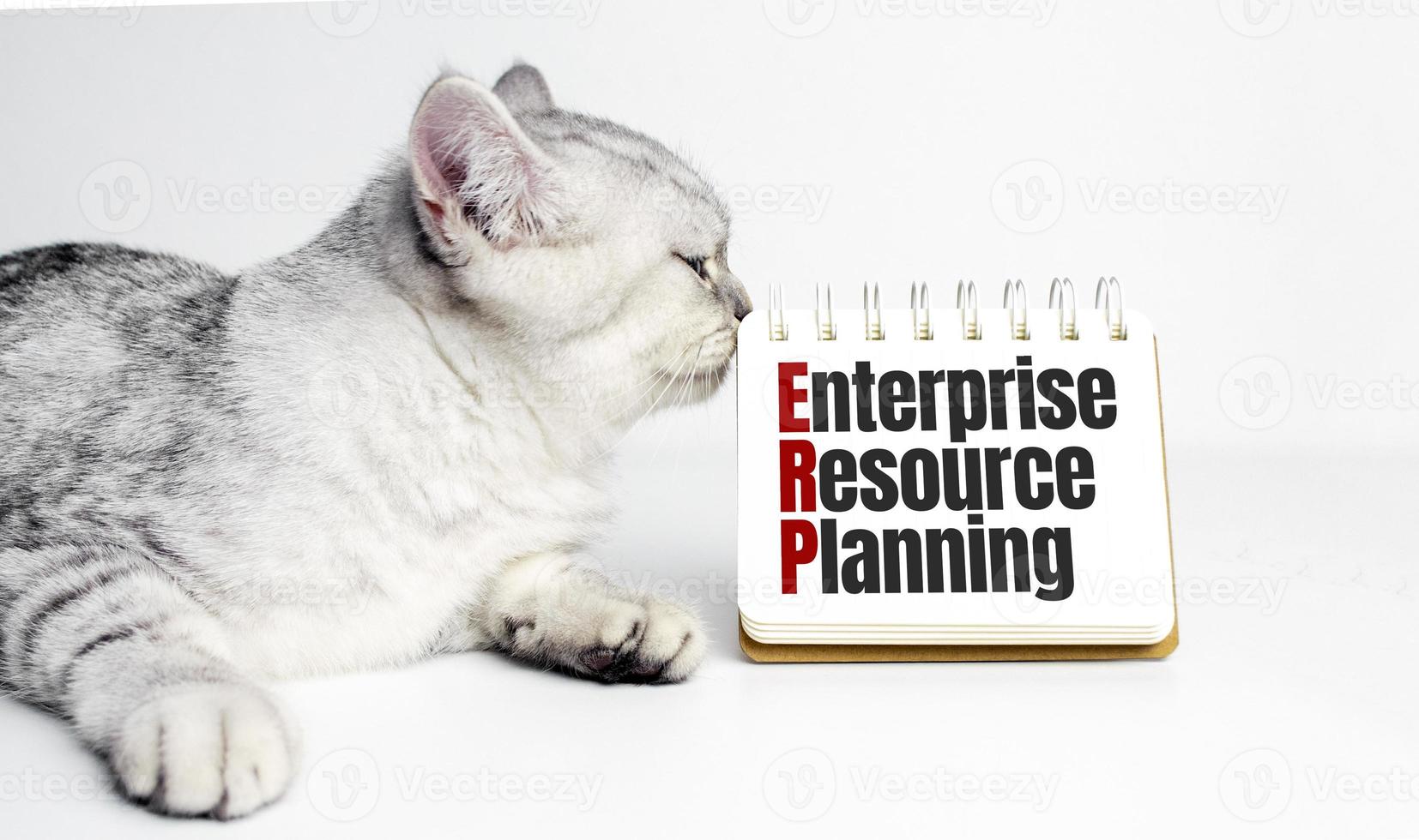 erp - enterprise resource planning words on notebook and kitten photo