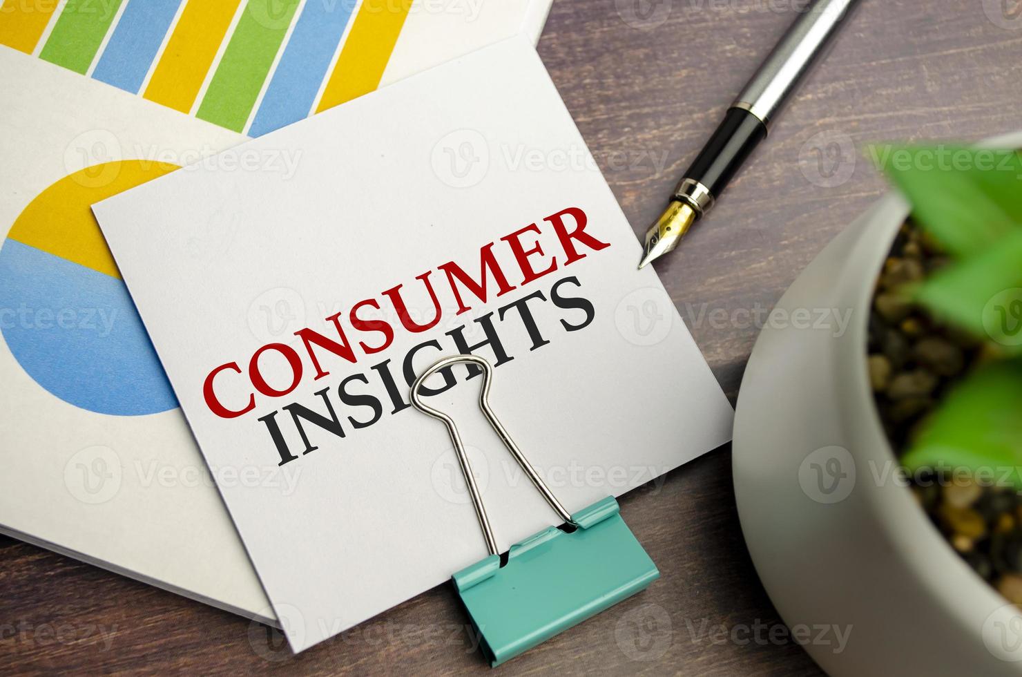 Consumer insights text on the sticker and charts photo