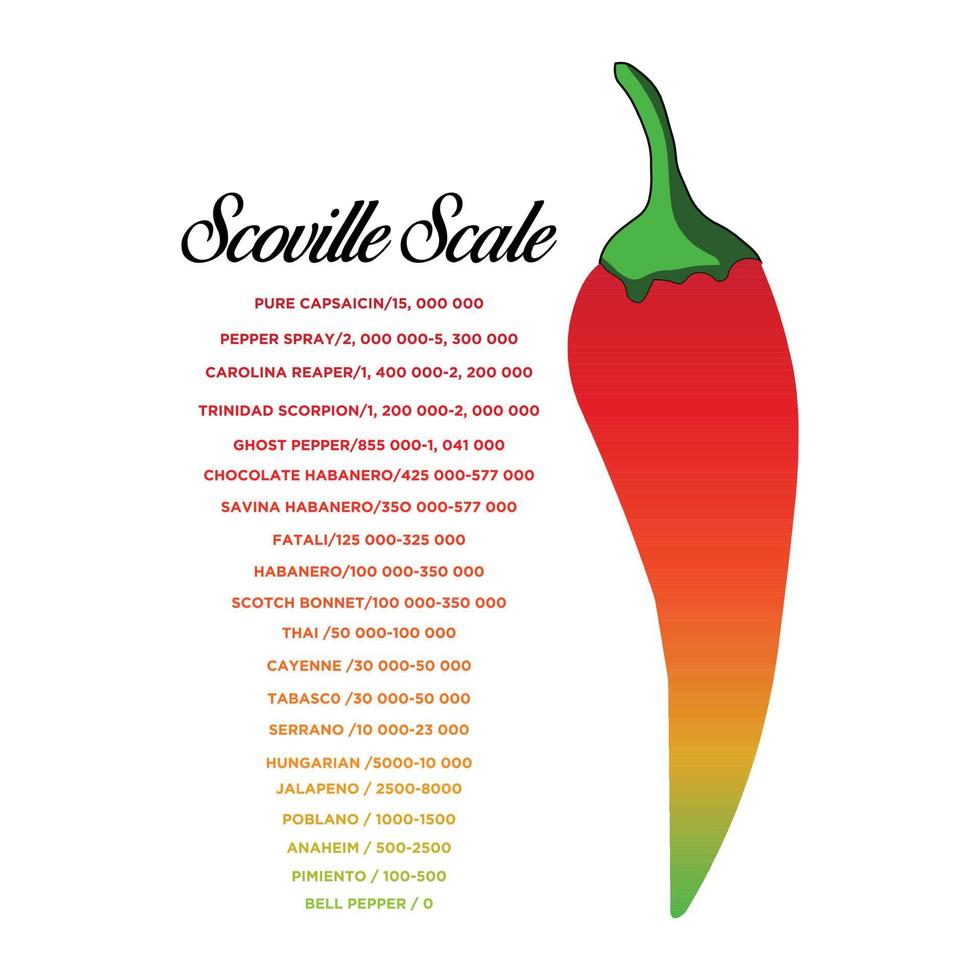 Scoville scale chilli peppers infographic Vector Image