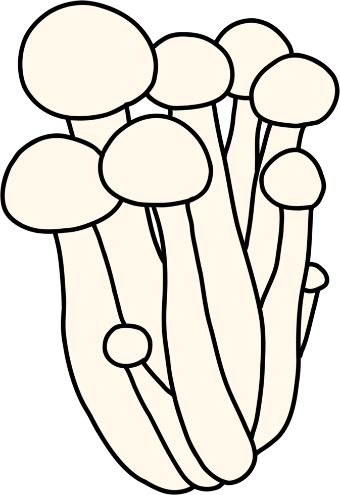 doodle uit de vrije hand schets tekening van beuken paddestoel groente. png