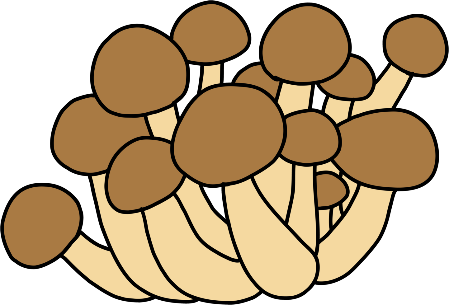 doodle freehand sketch drawing of beech mushroom vegetable. png