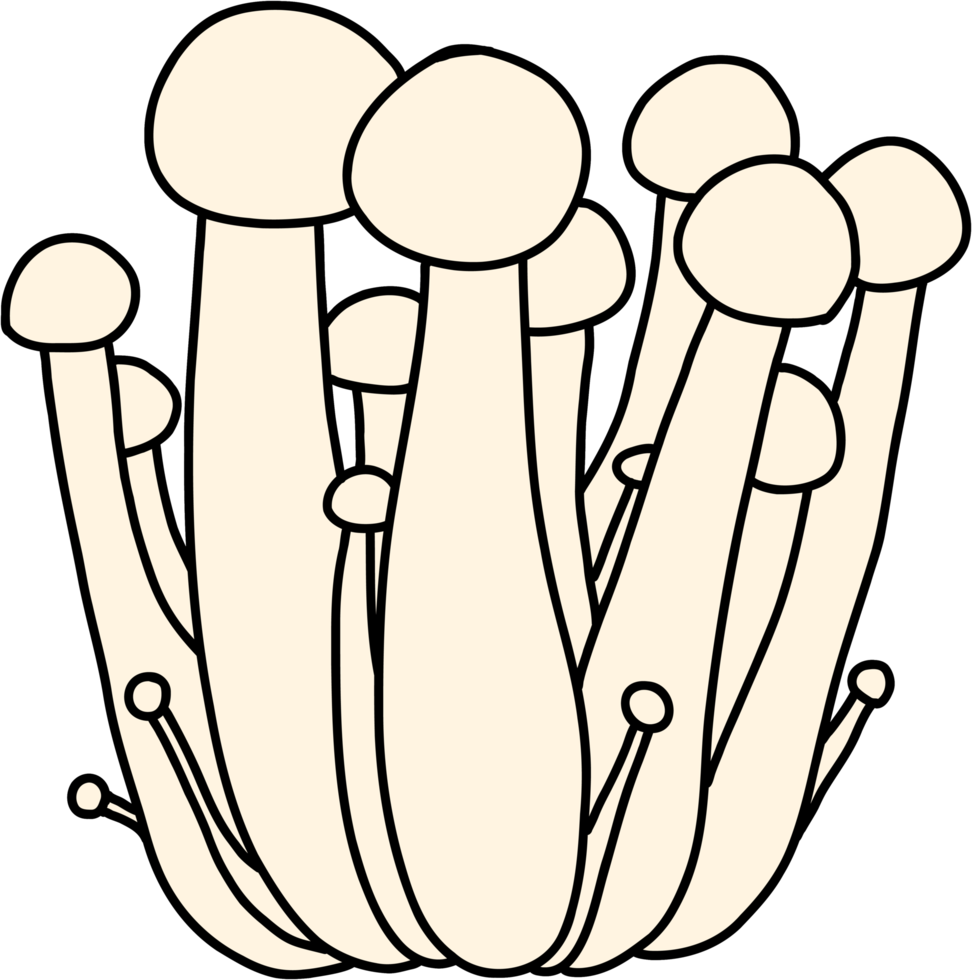 doodle freehand sketch drawing of beech mushroom vegetable. png