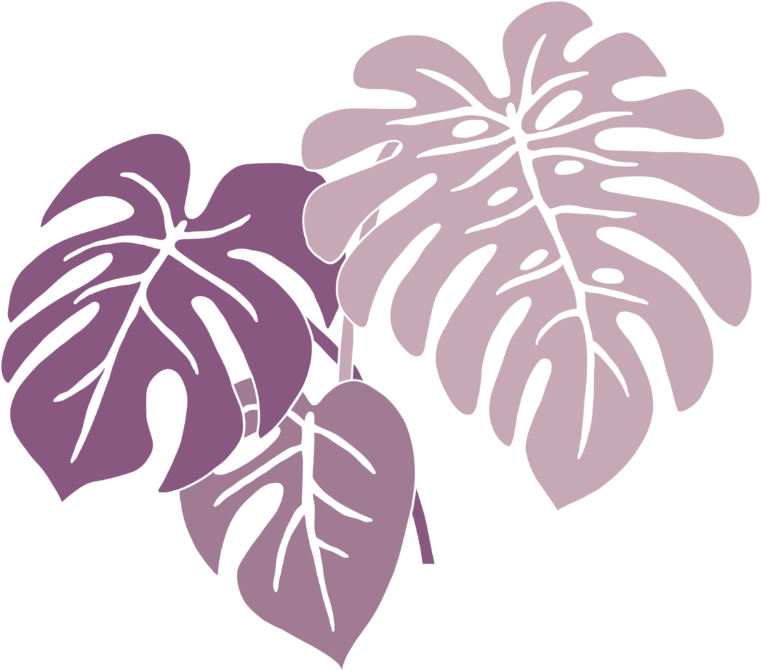 Simplicity monstera plant freehand drawing flat design. png