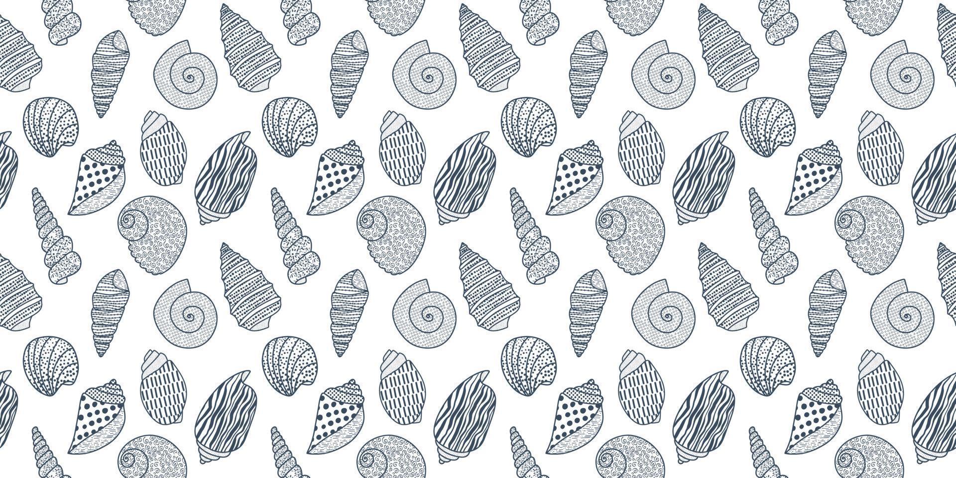 Vector seamless pattern. Line art sketch seashells. Isolated background. Decoration symbol of health calcium. Summer, sand and beach design. Repetitive ornament.