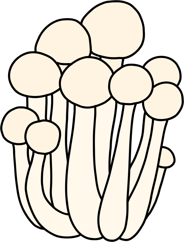 Gekritzel-Freihandskizzenzeichnung von Buchenpilzgemüse. png