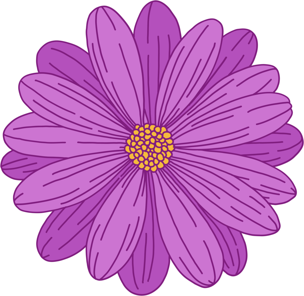 doodle desenho de esboço à mão livre de flor. png