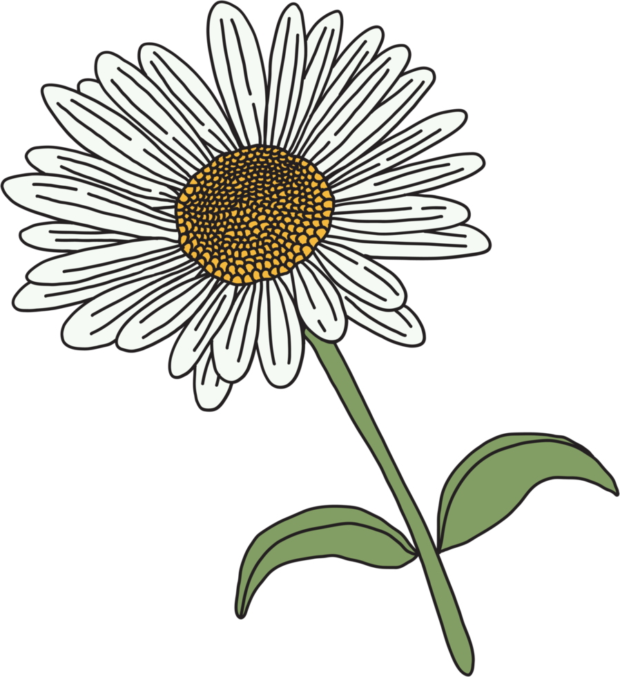 doodle croquis à main levée dessin de fleur. png