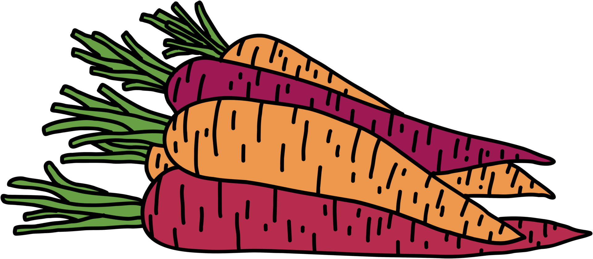 scarabocchiare a mano libera disegno di verdure di carota. png