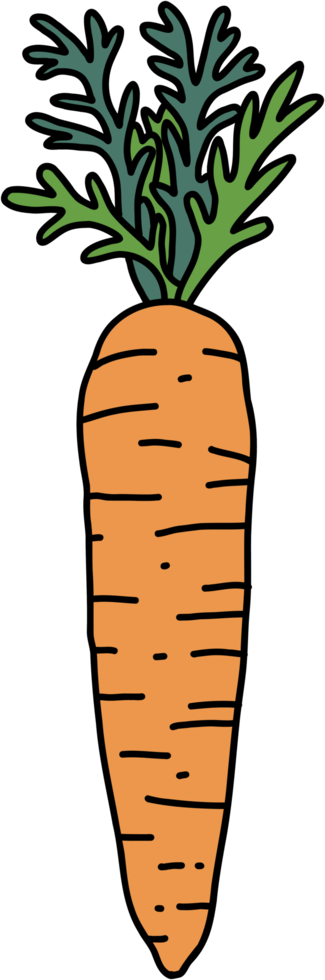 doodle freehand sketch drawing of carrot vegetable. png