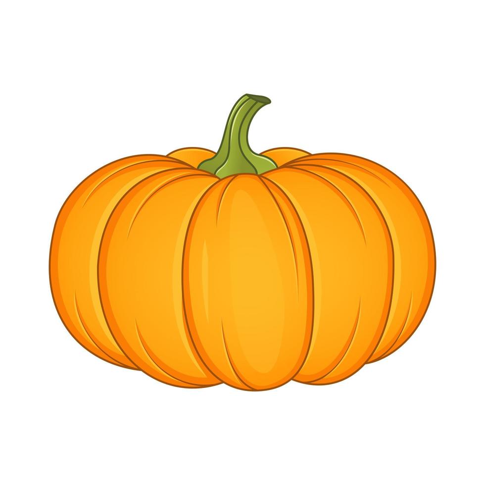 Ilustración de vector de calabaza aislado sobre fondo blanco