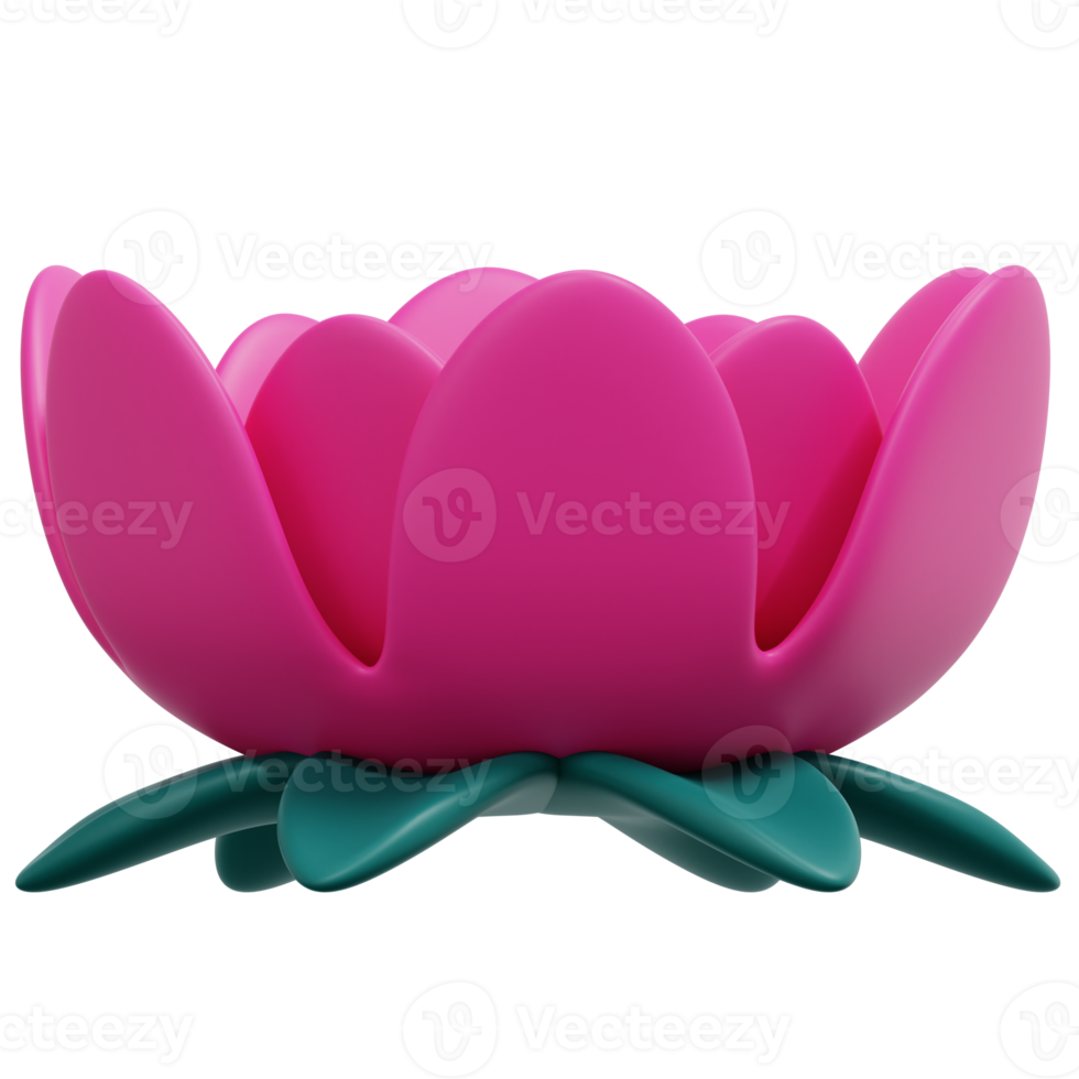 lotus 3d render icon illustration png