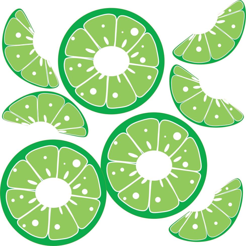 Pieces of citrus vector