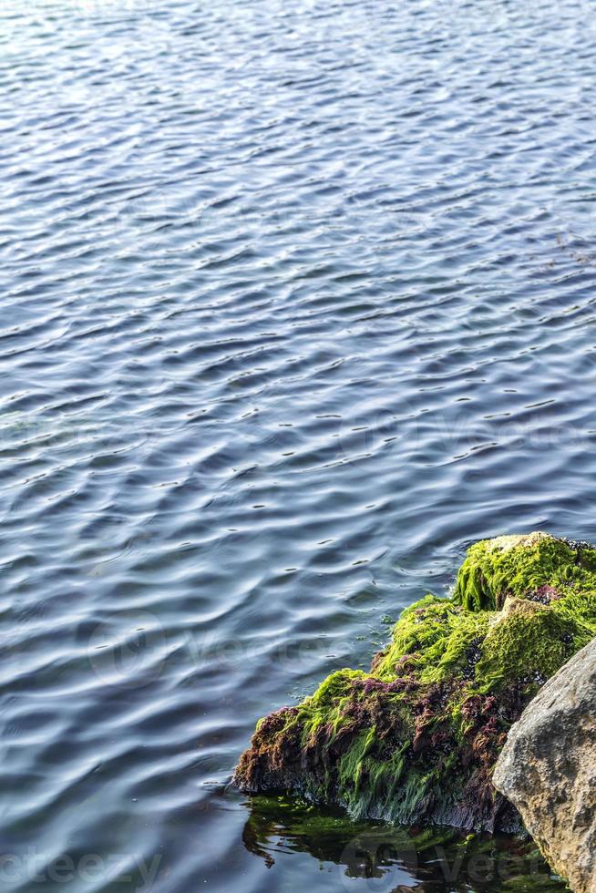 water wind waves and big rock with moss. Vertical view photo