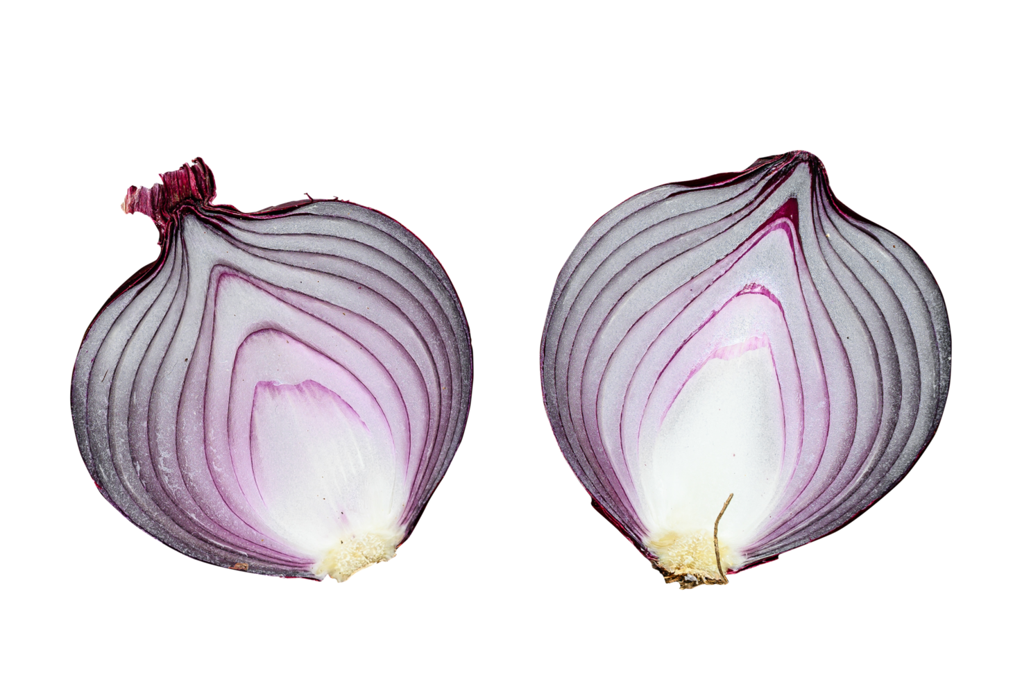 red organic onion png