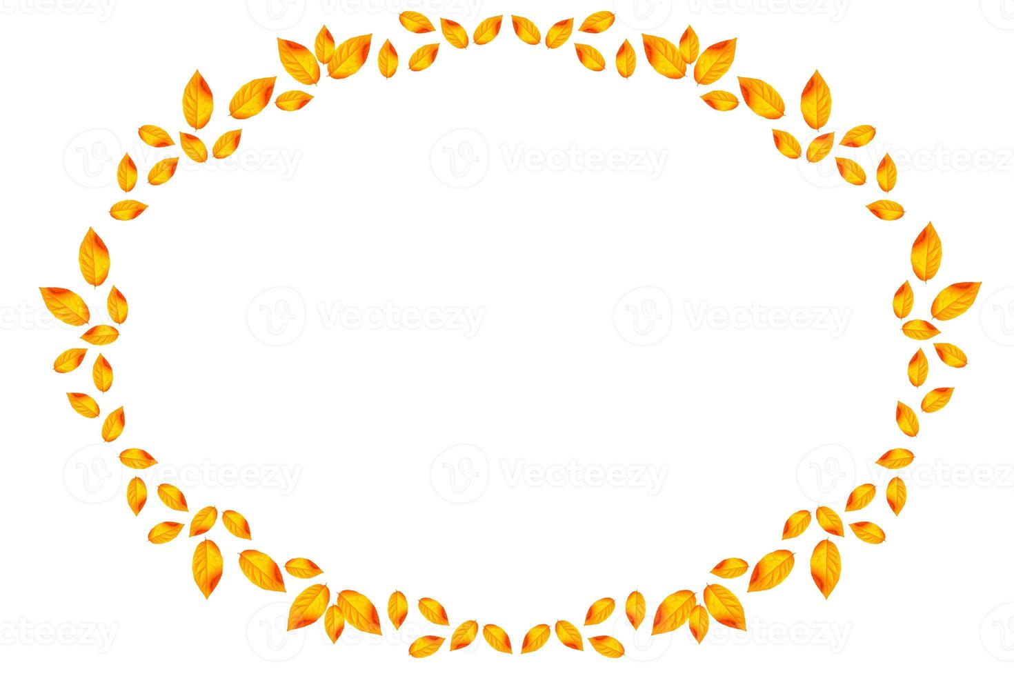 Bright colorful autumn leaves. nature photo