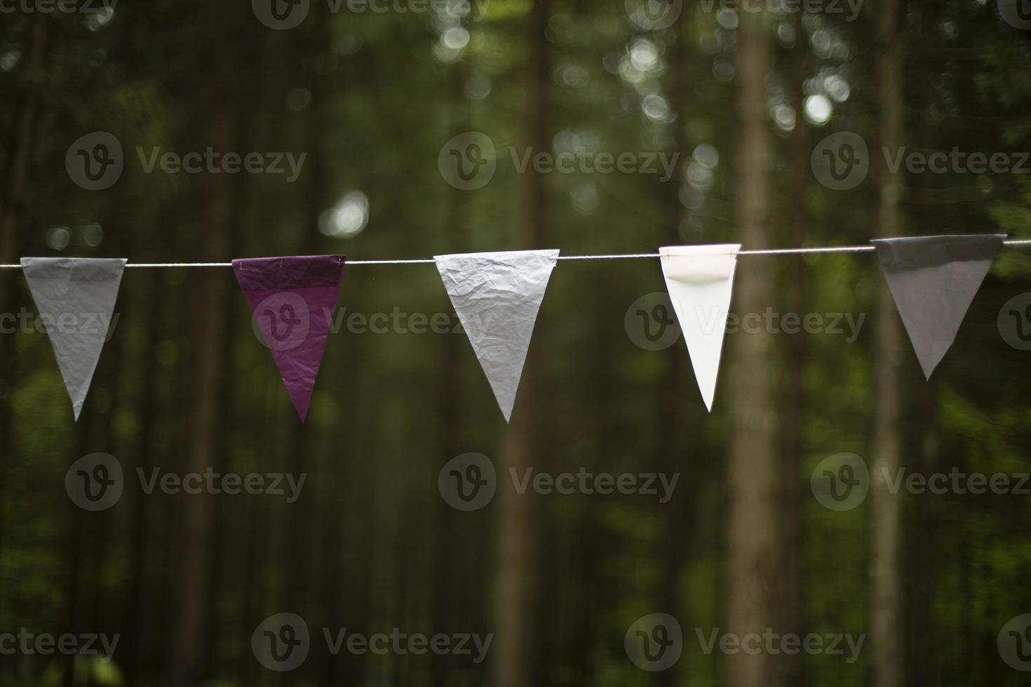 Flags on rope. Flags in row hang on string. photo