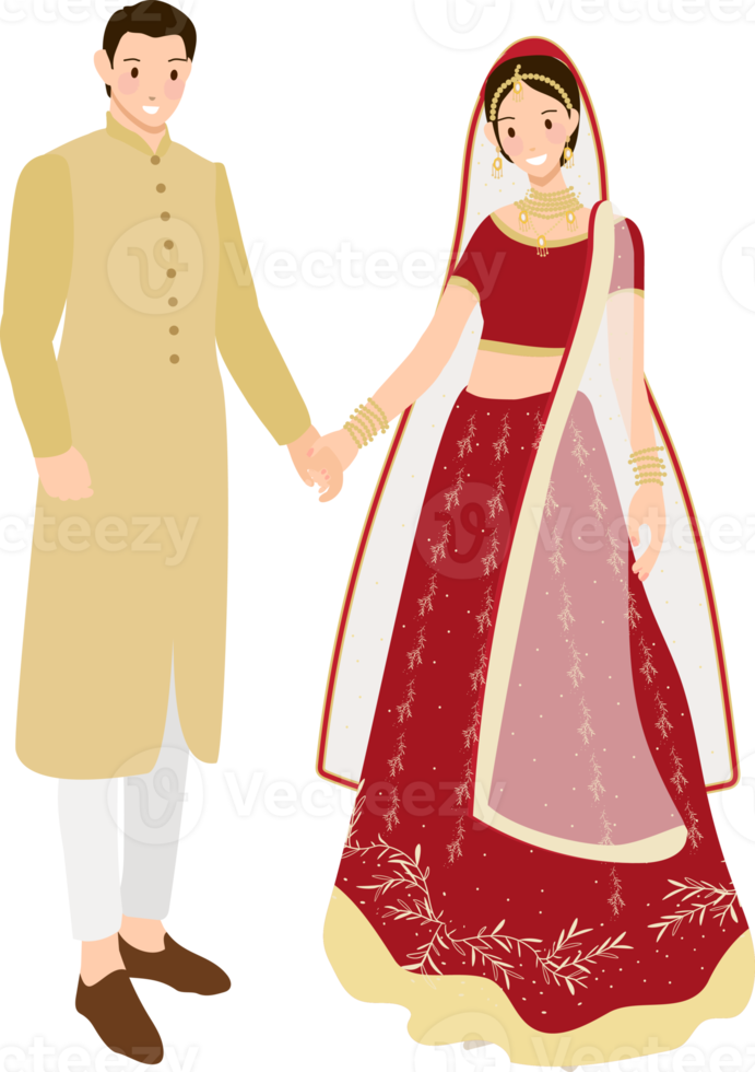 beautiful Indian couple bride and groom in traditional wedding sari dress png