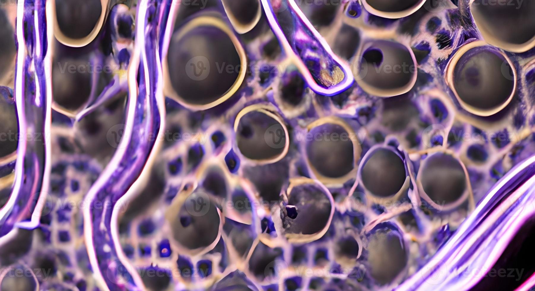 bacterias y virus en la superficie de la piel, membrana mucosa o intestino, modelo de mers, vih, gripe, escherichia coli, salmonella, klebsiella, legionella, mycobacterium tuberculosis, modelo de microbios foto