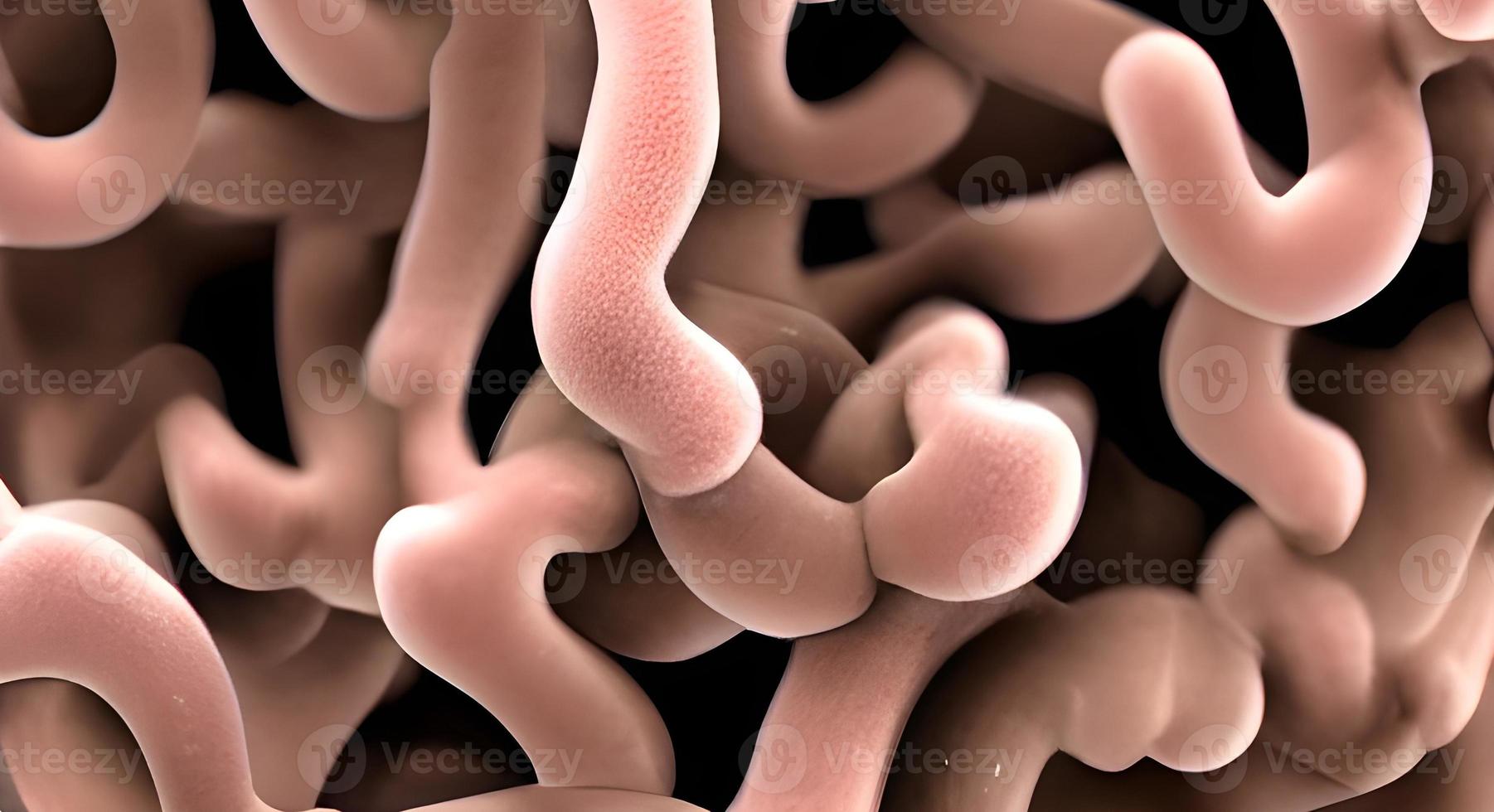 Bacteria and viruses on surface of skin, mucous membrane or intestine, model of MERS, HIV, flu, Escherichia coli, Salmonella, Klebsiella, Legionella, Mycobacterium tuberculosis, model of microbes photo