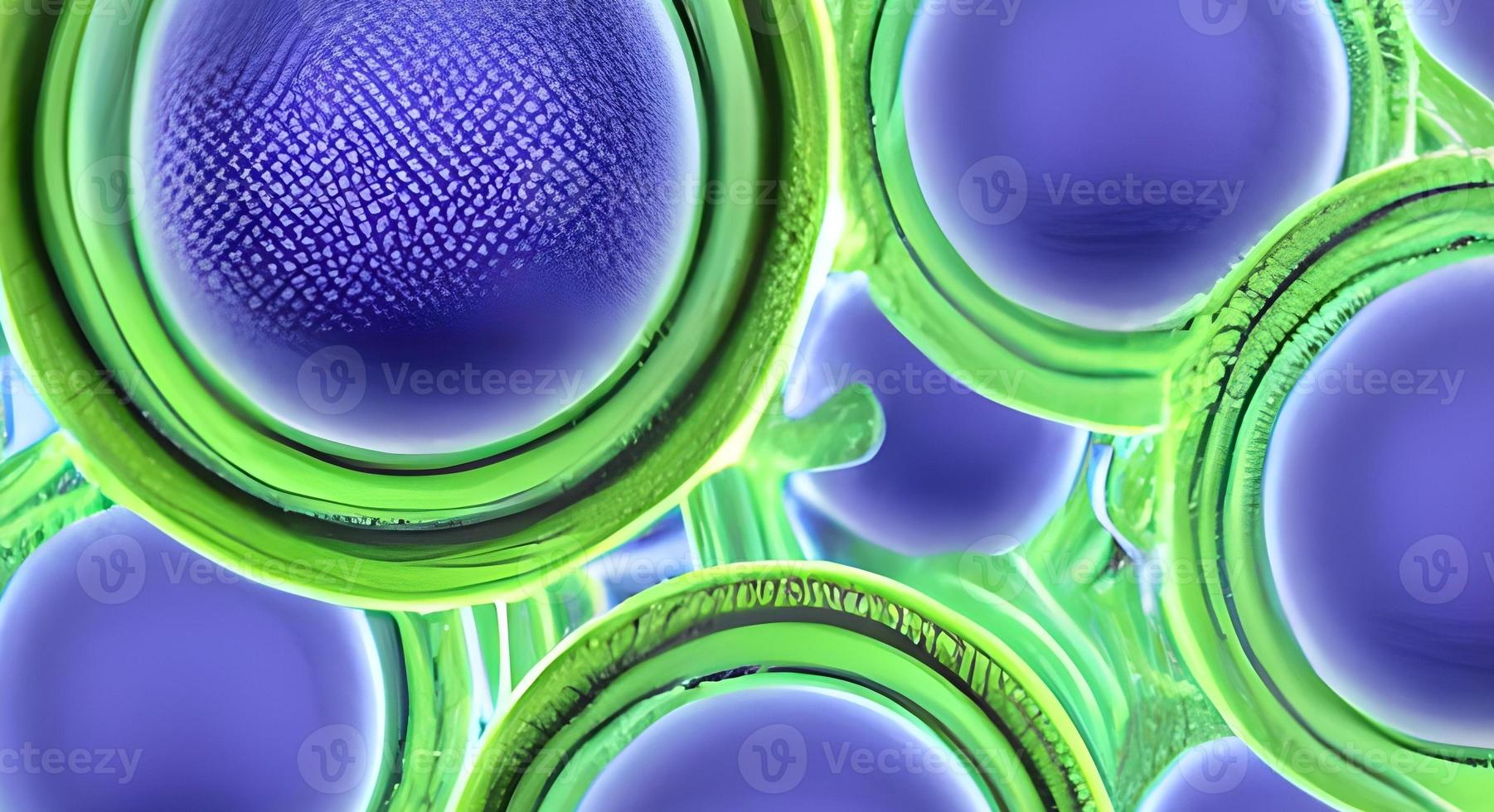 Bacteria and viruses on surface of skin, mucous membrane or intestine, model of MERS, HIV, flu, Escherichia coli, Salmonella, Klebsiella, Legionella, Mycobacterium tuberculosis, model of microbes photo