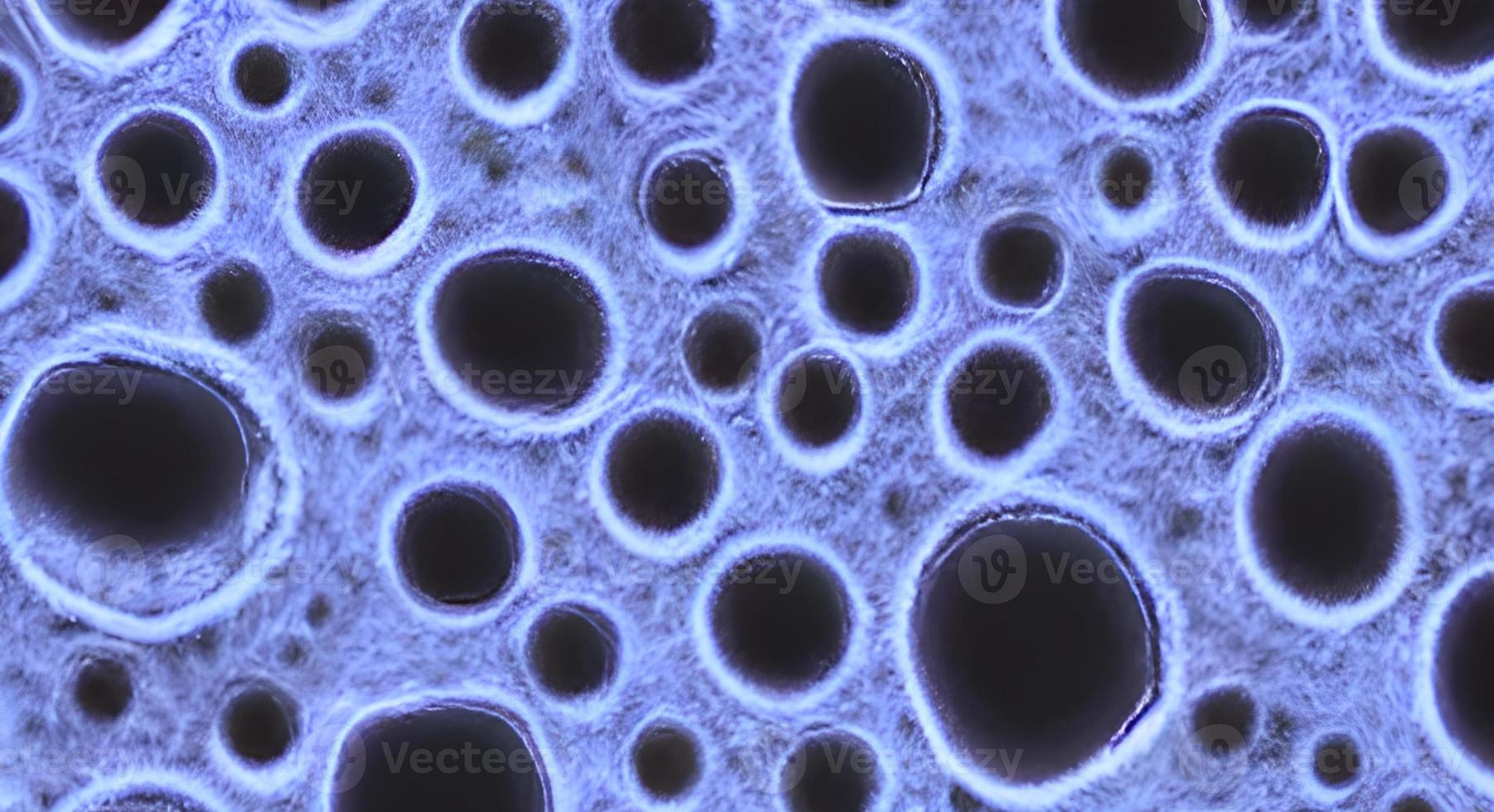 Close-up of virus cells or bacteria on light background photo