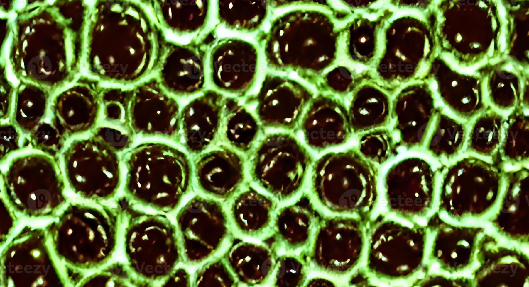 Coronavirus 2019-nCov novel coronavirus concept. Microscope virus close up. rendering. photo