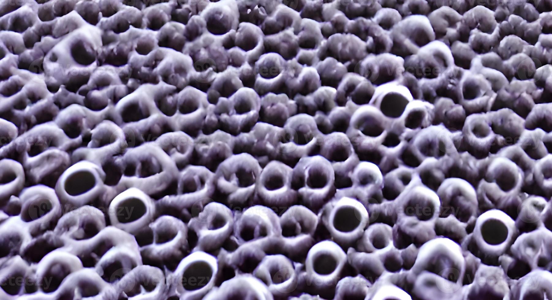 viruses and bacteria of various shapes against a white background. Concept of science and medicine. rendering photo