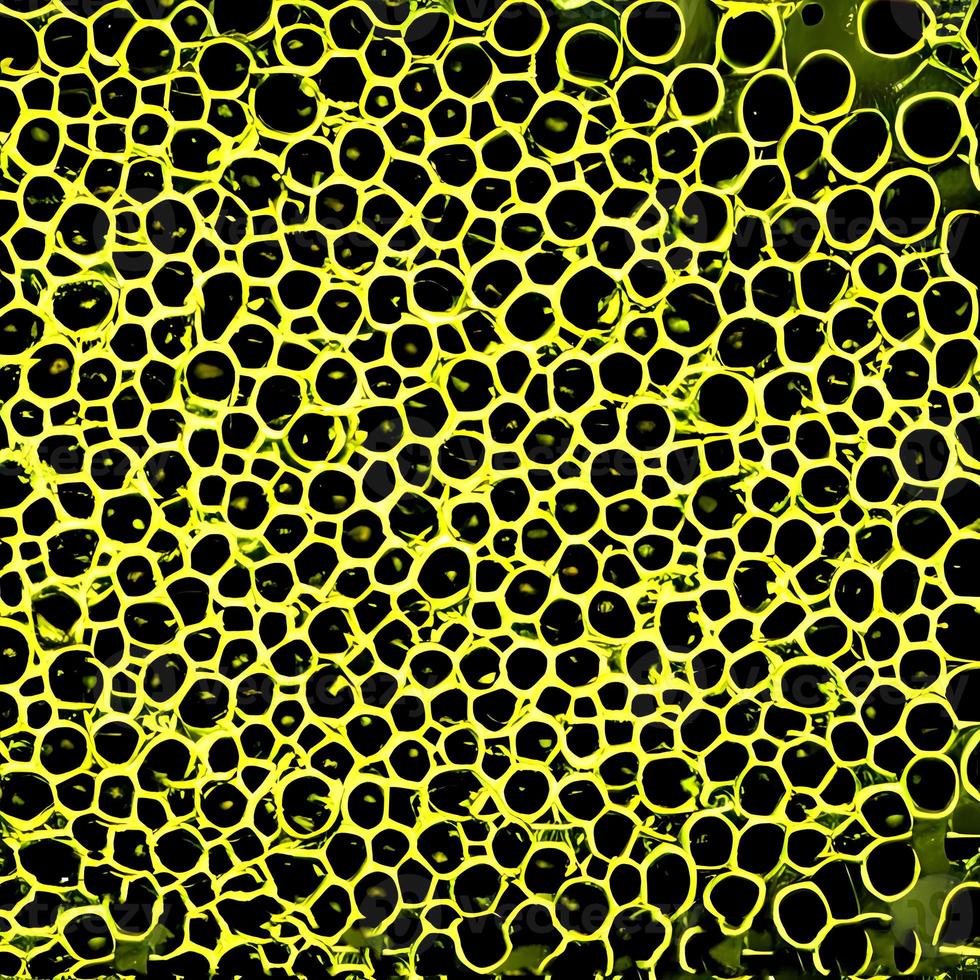 Bacteria and viruses on surface of skin, mucous membrane or intestine, model of MERS, HIV, flu, Escherichia coli, Salmonella, Klebsiella, Legionella, Mycobacterium tuberculosis, model of microbes photo