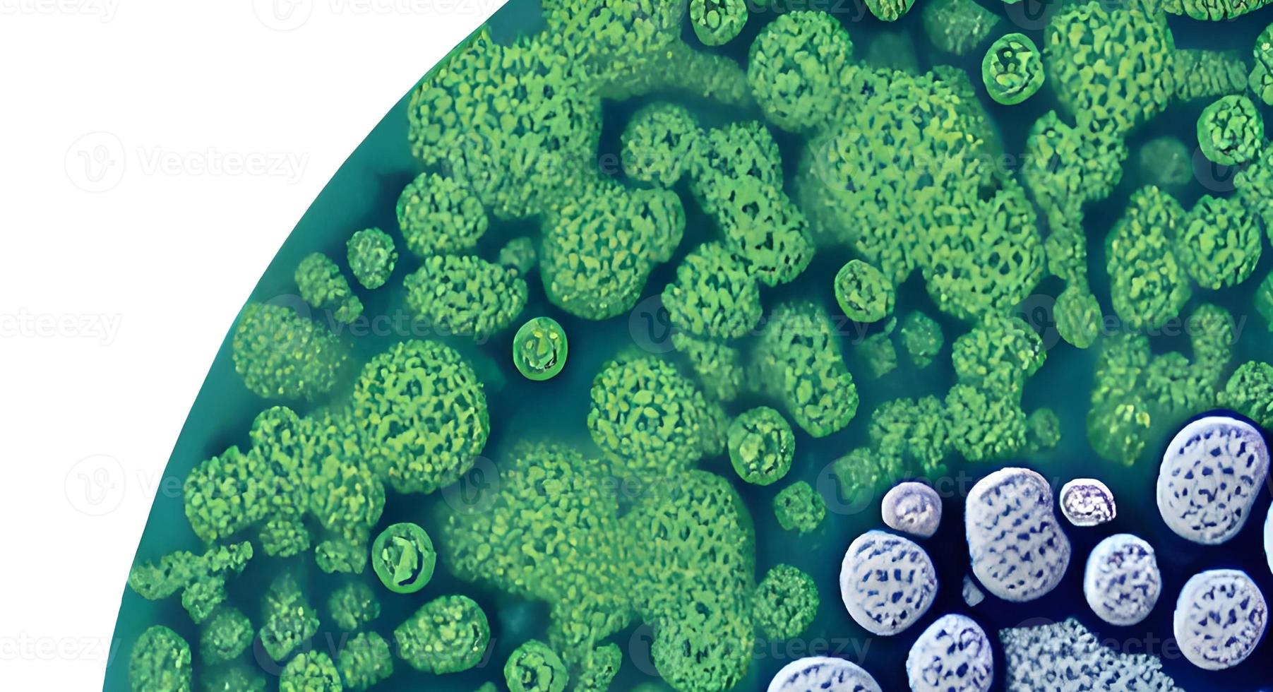 Coronavirus 2019-nCov novel coronavirus concept. Microscope virus close up. rendering. photo