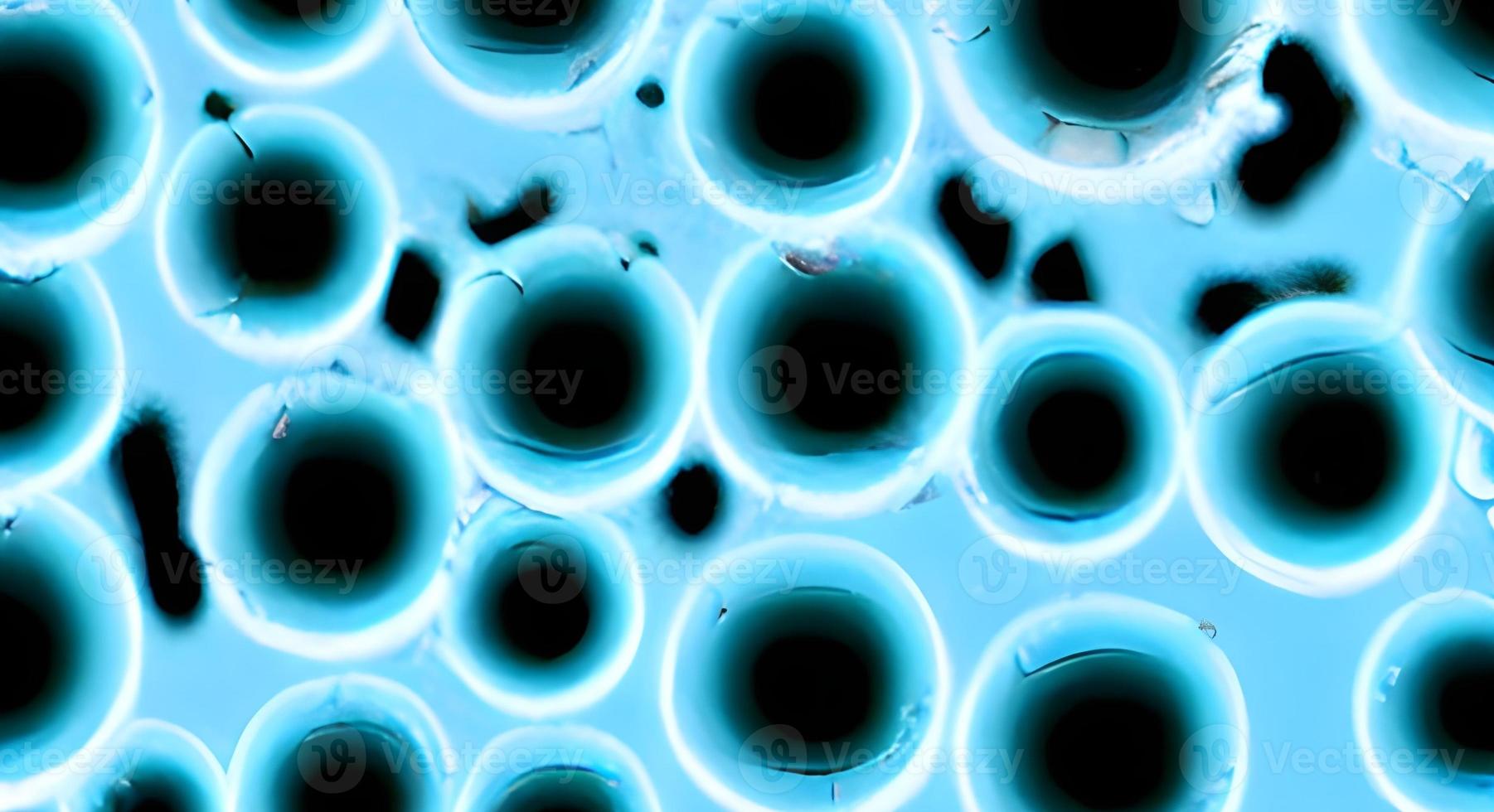 bacteria virus or germs microorganism cells. rendering photo