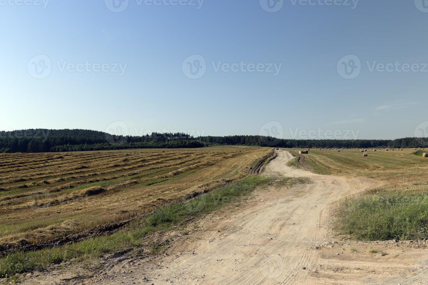 Rural road for cars and transport photo
