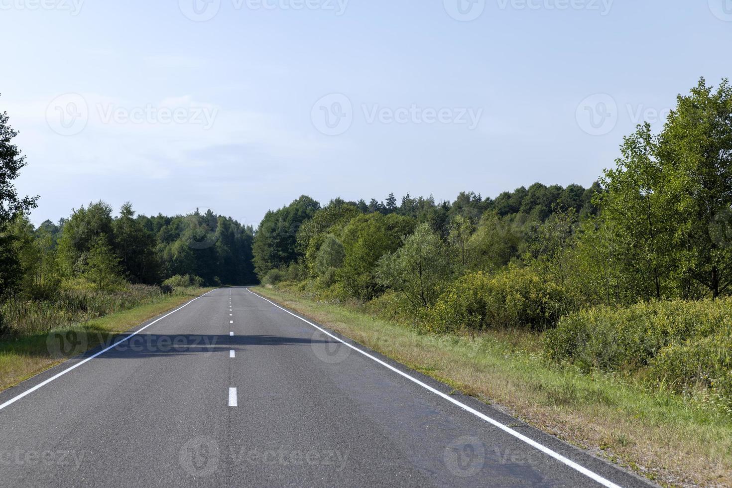 estrecho camino pavimentado para coches foto