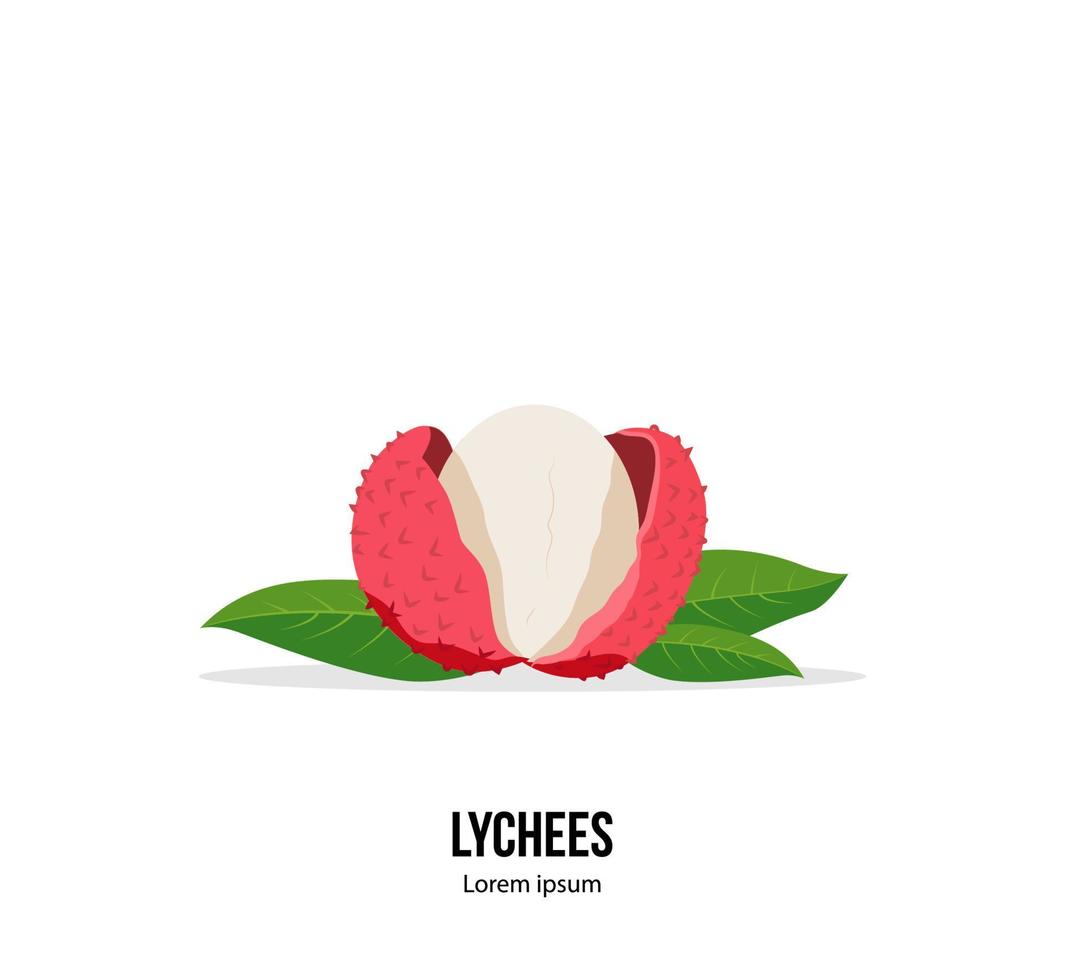 Lychees fruit with green leaves isolated on the white background. Chinese traditional fruit. Vector illustration. Print design