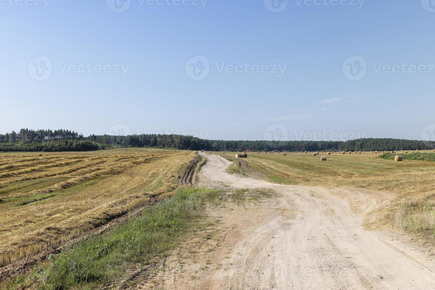 Rural road for cars and transport photo