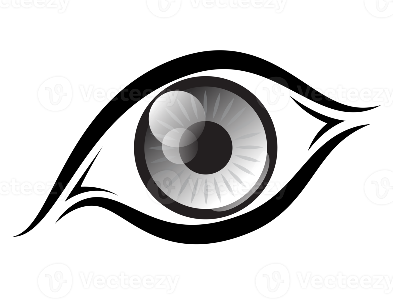 PNG oog icoon, oog icoon illustratie met transparant achtergrond.