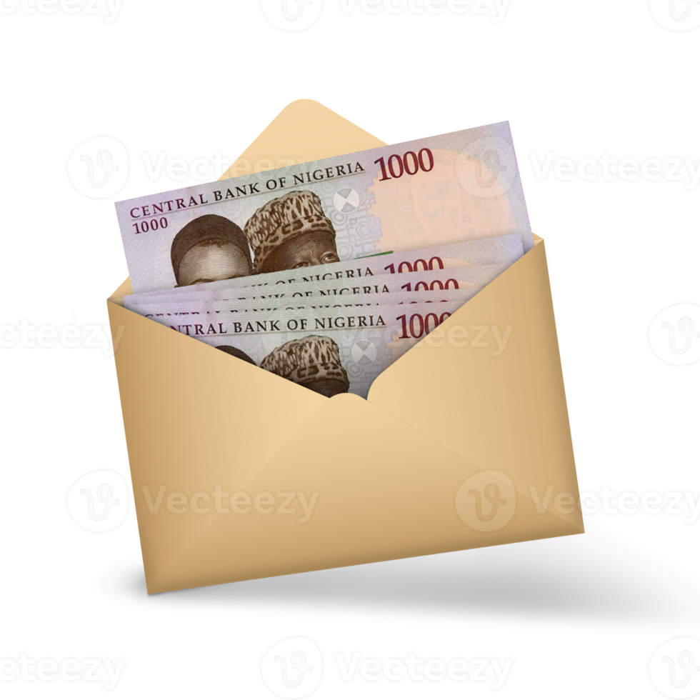 Nigerian naira notes inside an open brown envelope. 3D illustration of money in an open envelope png