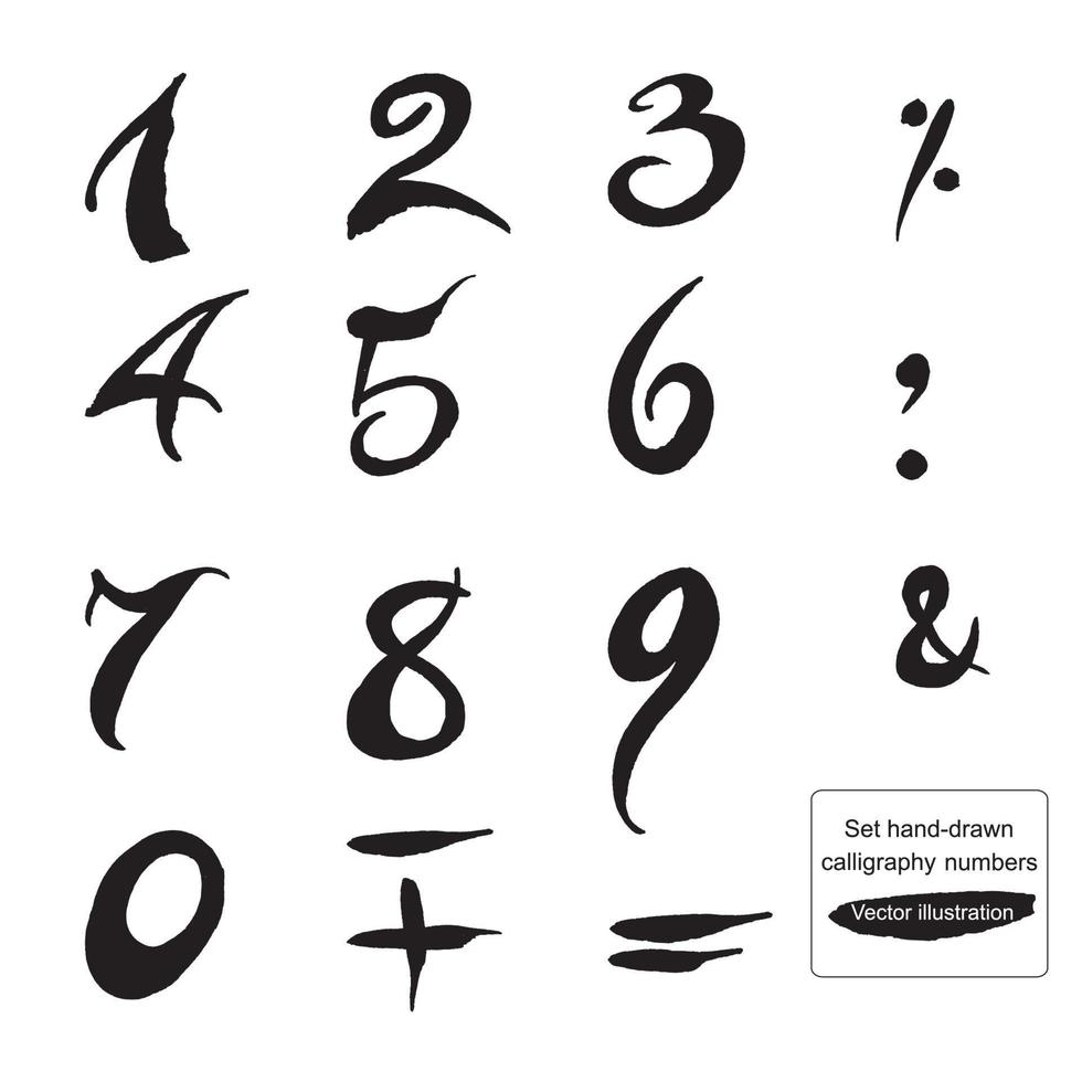 Set hand-drawn ink calligraphy numbers and symbols. vector