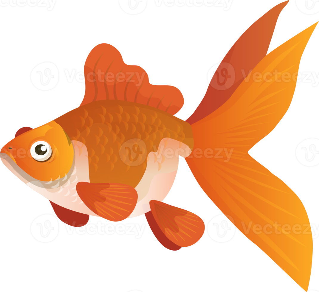 GoldFish Cartoon Character png