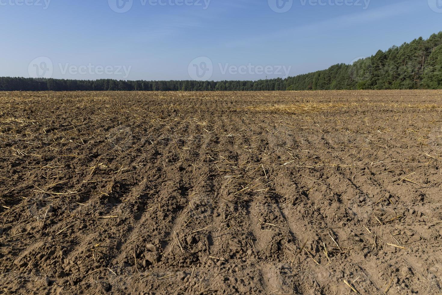 A plowed field with fertile soil for agricultural activities photo