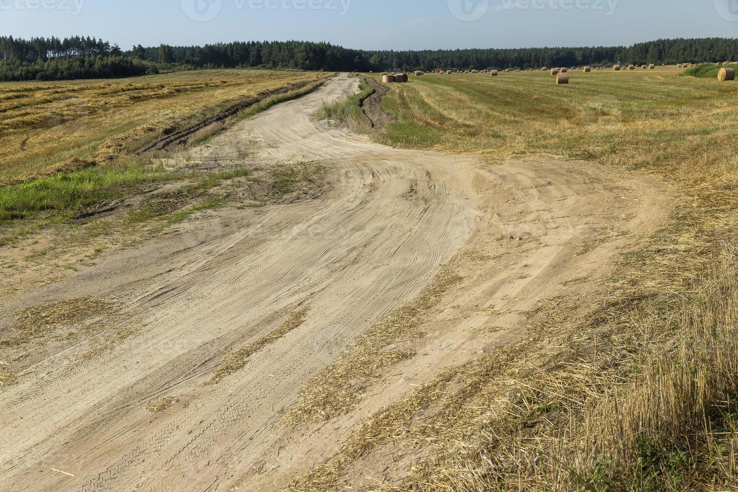 camino rural para coches y transporte foto